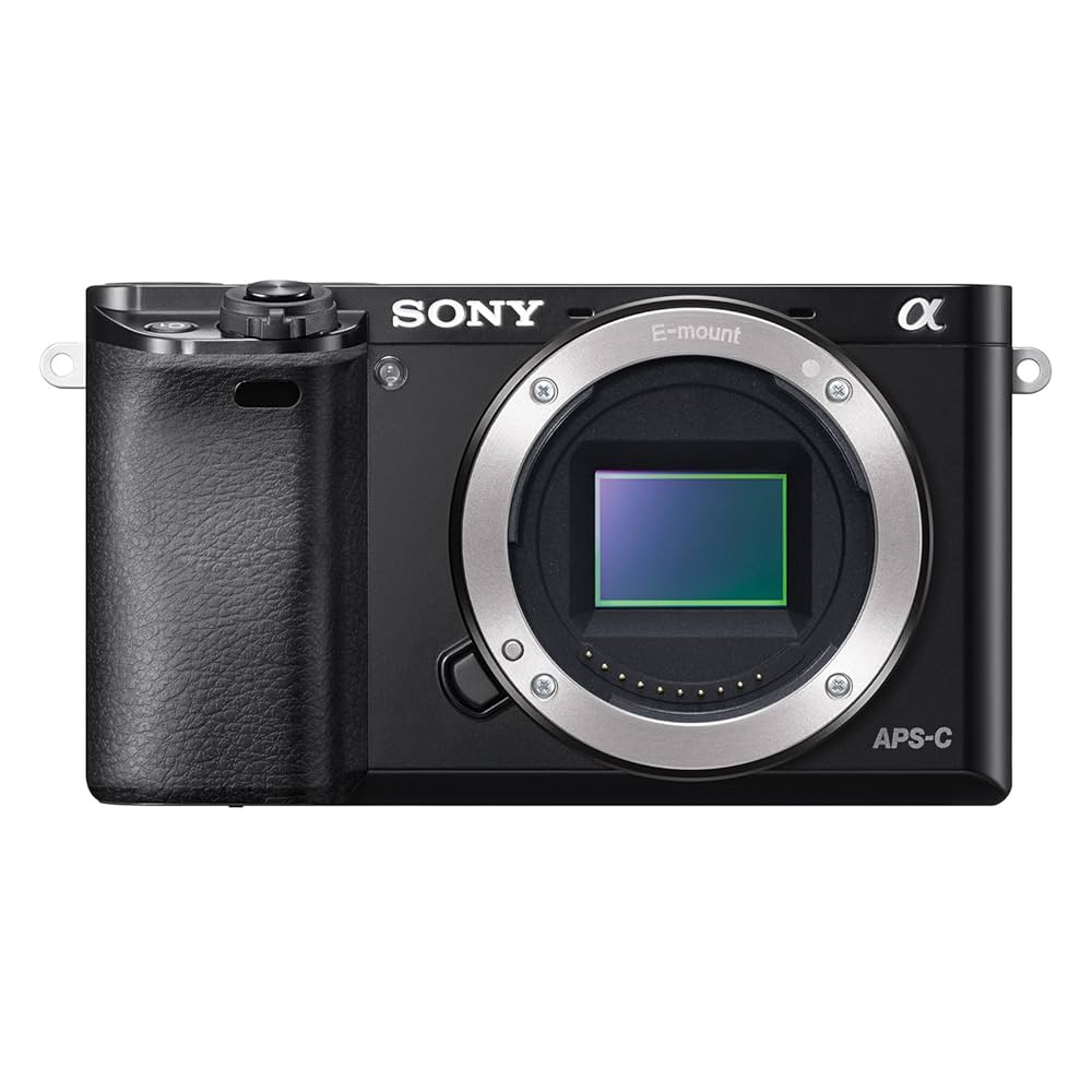 Sony Alpha A6000