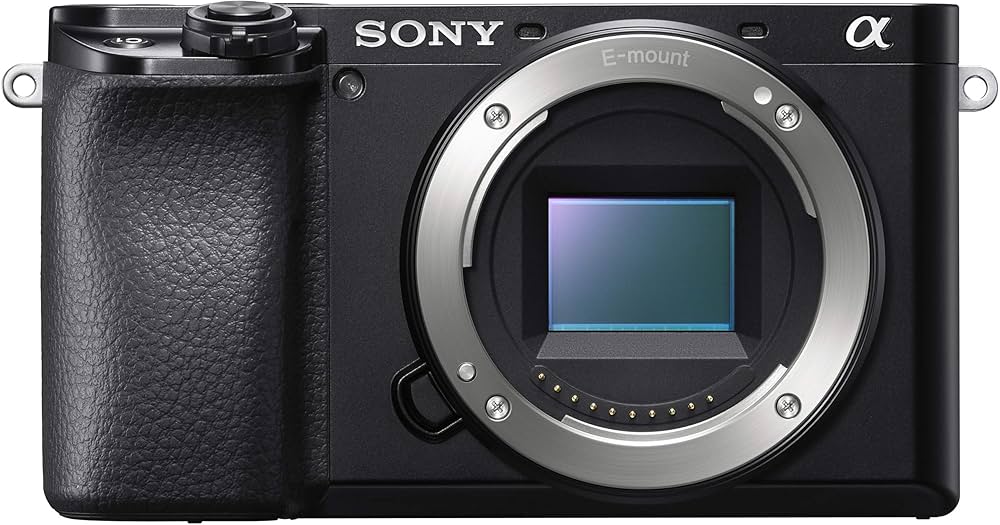 Sony Alpha A6100