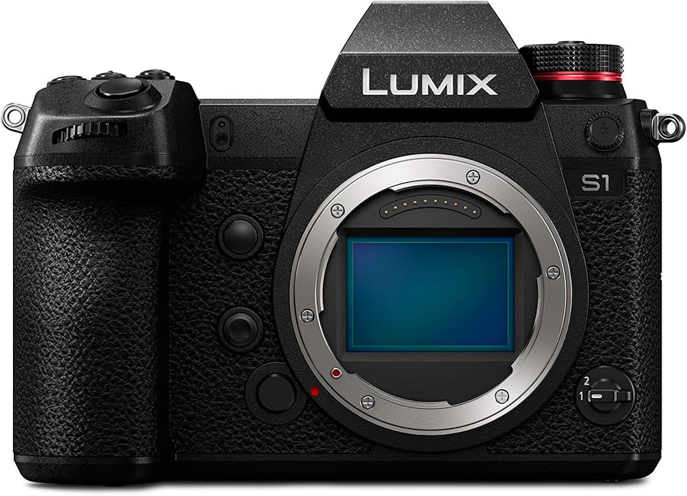 Lumix S1 